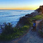 An image of our dog on a walking trail atop a bluff at sunset with surfers in the background. This is meant to represent the freedom and comfort and good health that comes from living in mold-free homes.